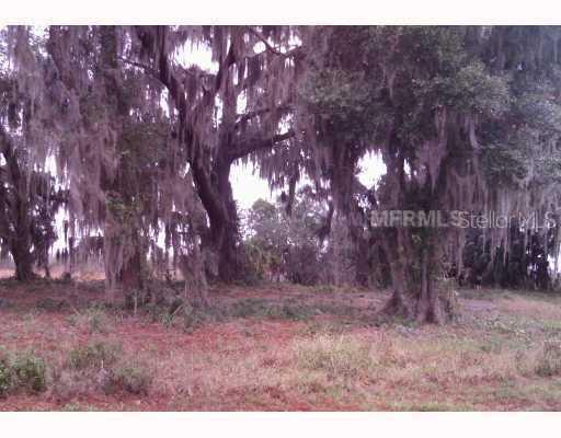 1600 Canopy Oaks Ct., Saint Cloud, FL 34771