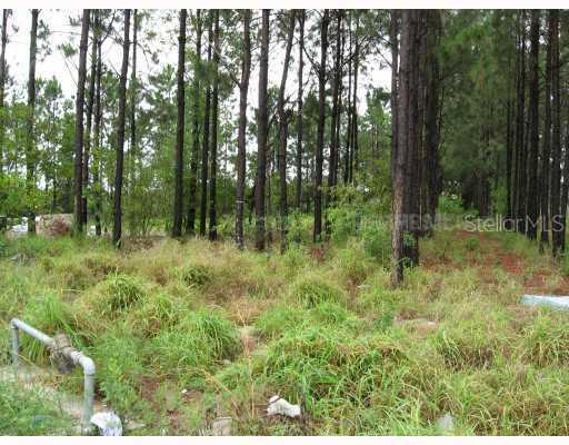 4247 Clarice Ct., Windermere, FL 34786