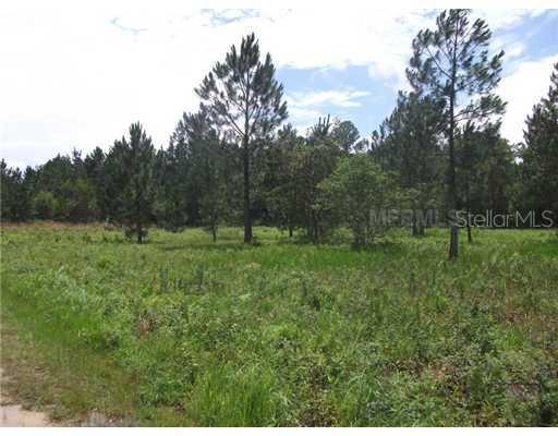 Oil Well, Clermont, FL 34711