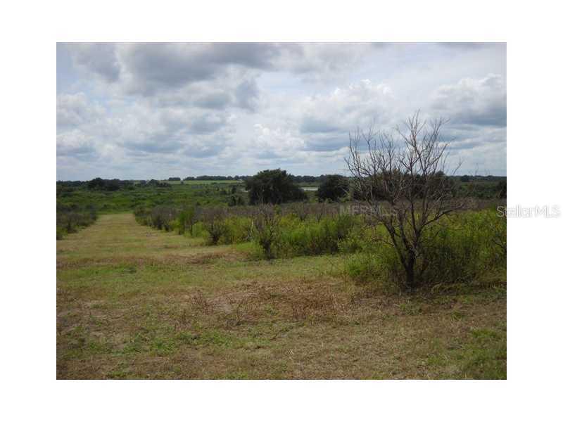 19445 Honeycut Rd., Groveland, FL 34736