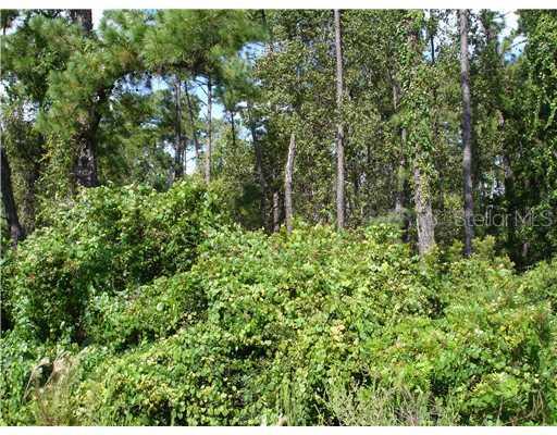 820 W State Road 434, Oviedo, FL 32765