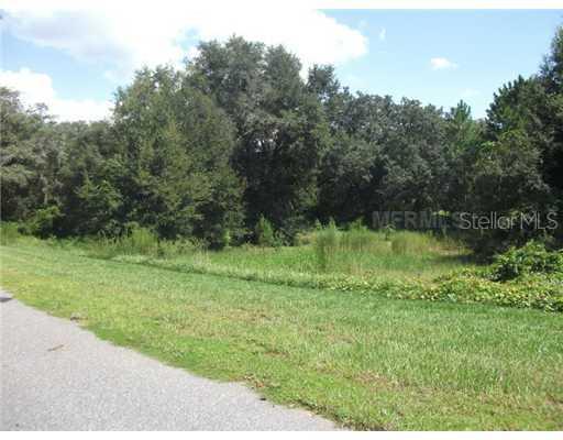 Silent Ridge Dr., Astatula, FL 34705