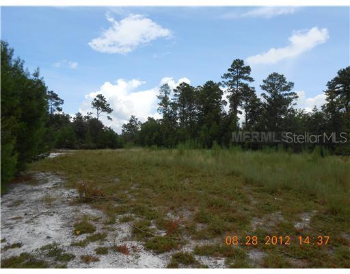 1795 Curryville Rd., Chuluota, FL 32766