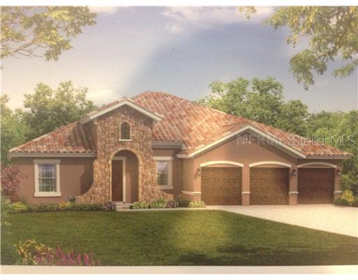 17830 Crystal Preserve Dr., Lutz, FL 33548