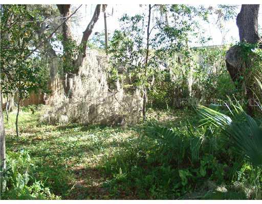 Shinecock Hills Ave., Sorrento, FL 32776