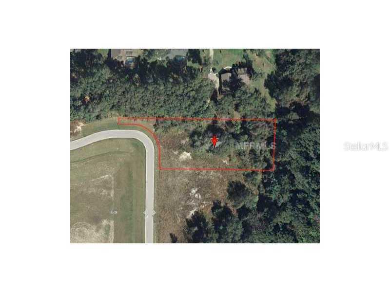 7029 Norne Ln., Mount Dora, FL 32757