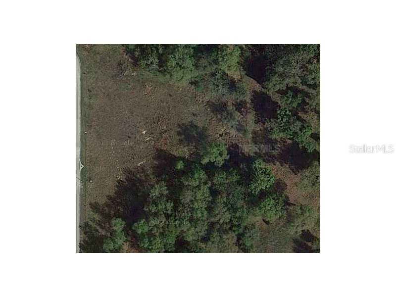7035 Norne Ln., Mount Dora, FL 32757