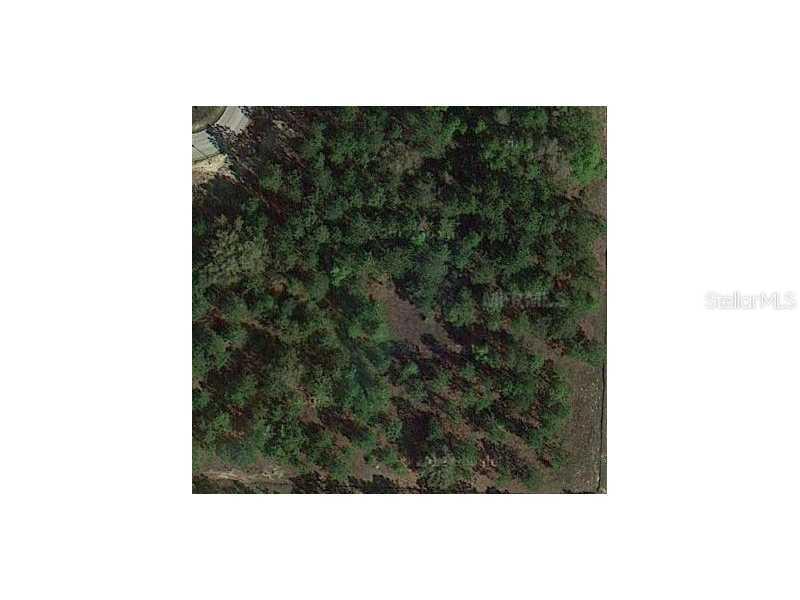 7059 Norne Ln., Mount Dora, FL 32757