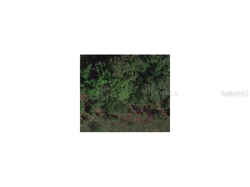 7082 Norne Ln., Mount Dora, FL 32757
