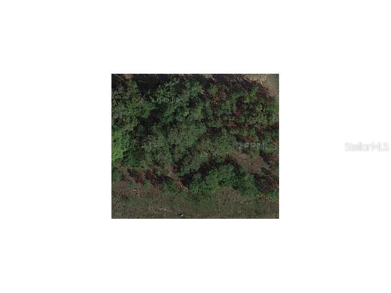 7070 Norne Ln., Mount Dora, FL 32757