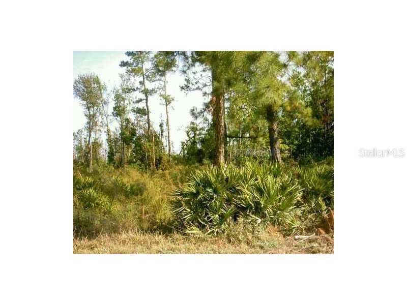 Grape Ave., Saint Cloud, FL 34769