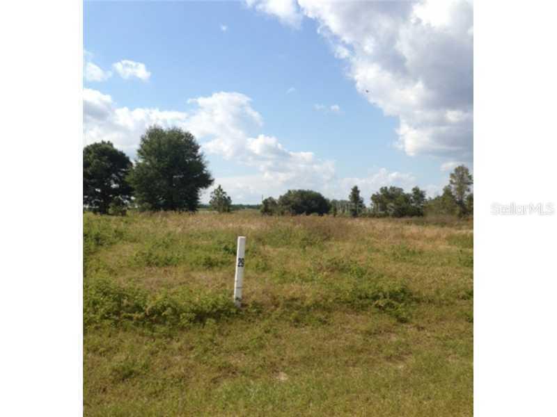 Ranch Club Blvd, Lot 29, Groveland, FL 34736
