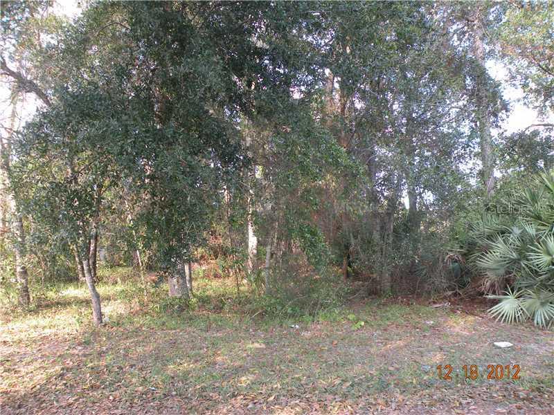 W County Road, Chuluota, FL 32766