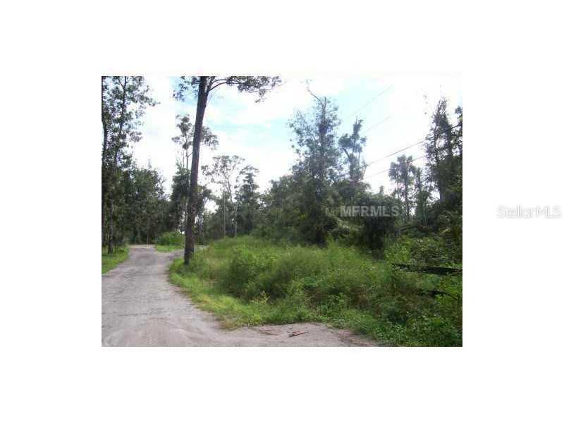 S Bear Paw Ln., DeLand, FL 32720