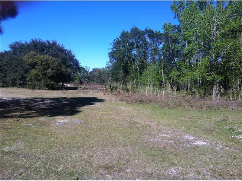 Hwy 46, Geneva, FL 32732
