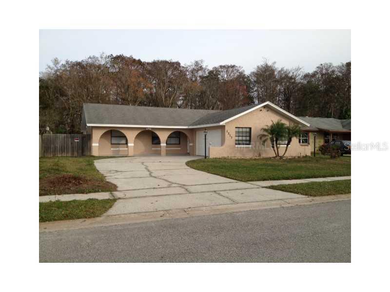 1217 Boreas Dr., Orlando, FL 32822