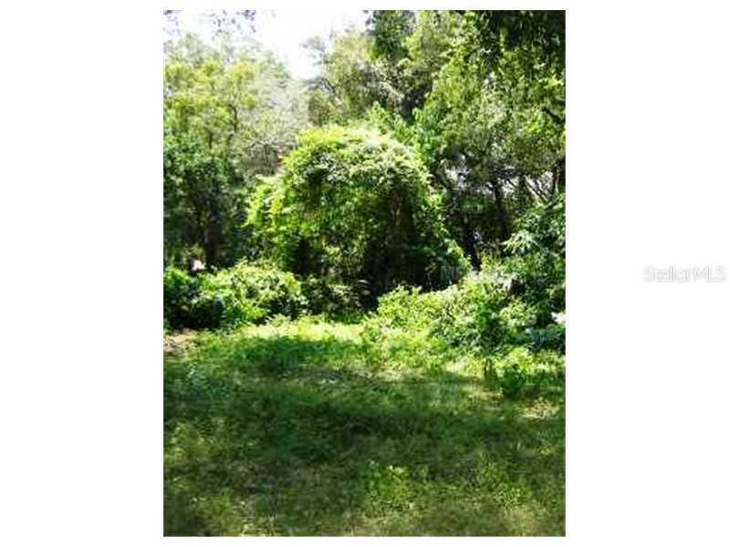 Tamarind Dr, Edgewater, FL 32141