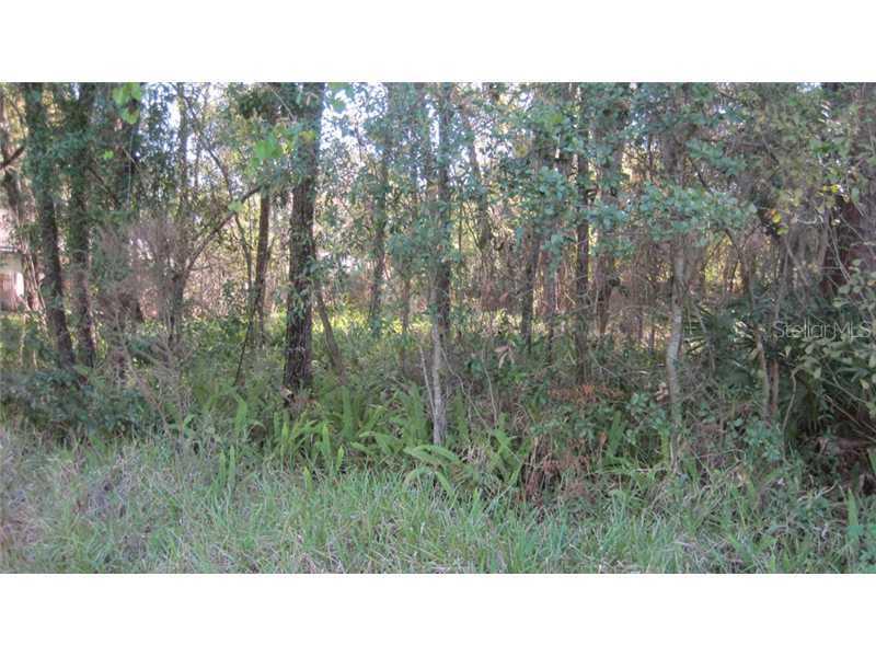 Bear Lake Rd., Apopka, FL 32703