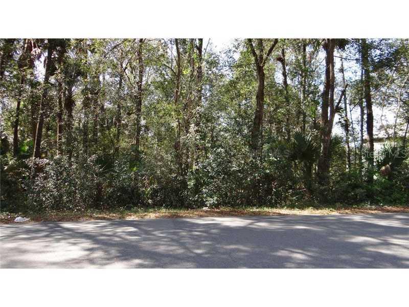 31339 Westward Ho Ave., Sorrento, FL 32776