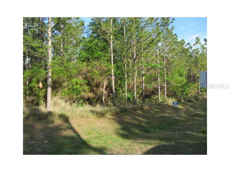 Fox Meadow Tr., Winter Garden, FL 34787