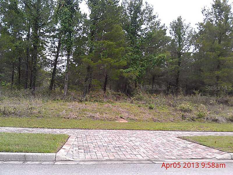 Lot 226, Bella Collina, Montverde, FL 34756