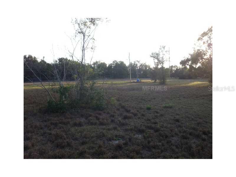4011 W Ponkan Rd., Apopka, FL 32712