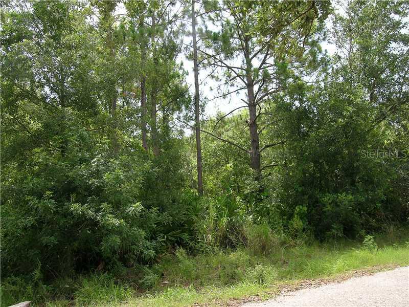 2675 Poinsetta Ave., Sanford, FL 32773