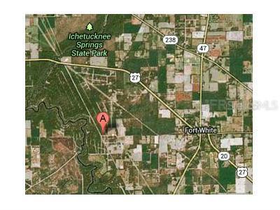 282 Sw Alberta Place, Fort White, FL 32038