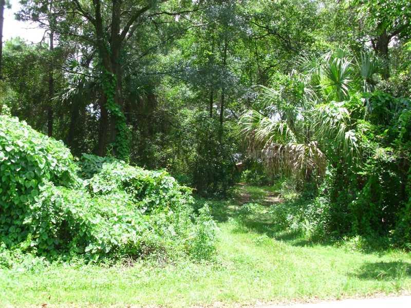 Alberta St., Longwood, FL 32750