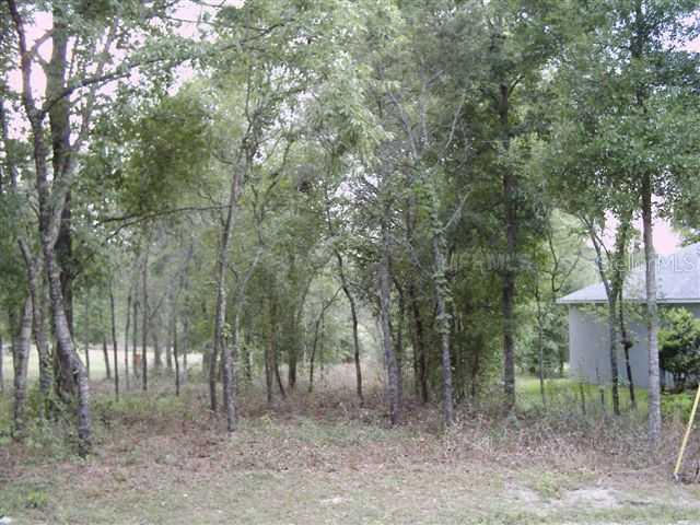 Lochmore Cir., Sorrento, FL 32776