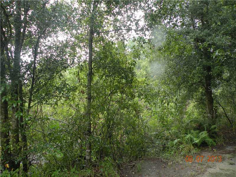 Mascotte Empire Rd., Groveland, FL 34736