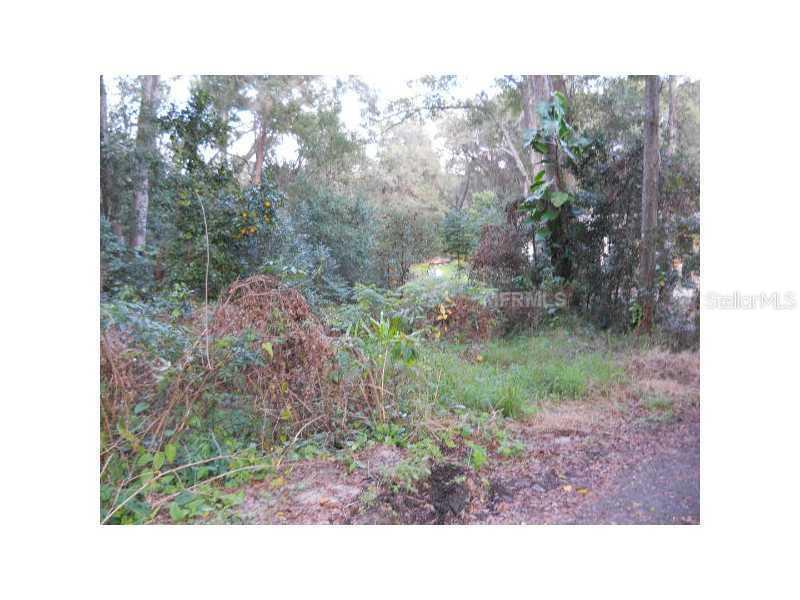 834 Collins Ave., Apopka, FL 32712