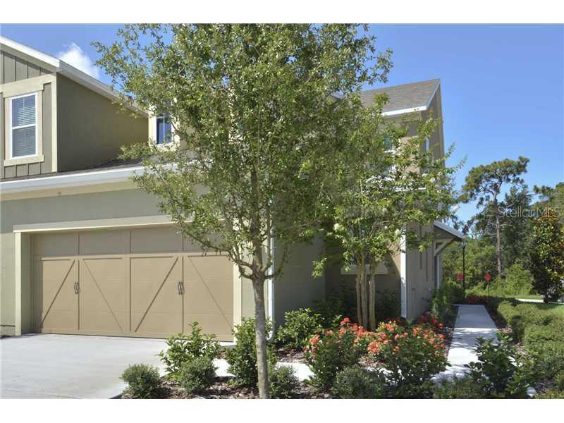 17036 Vilesta Dr., Lutz, FL 33548