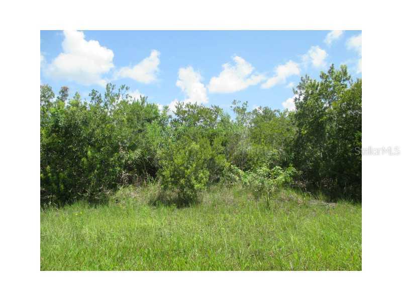 13121 Gallagher Blvd., Port Charlotte, FL 33981