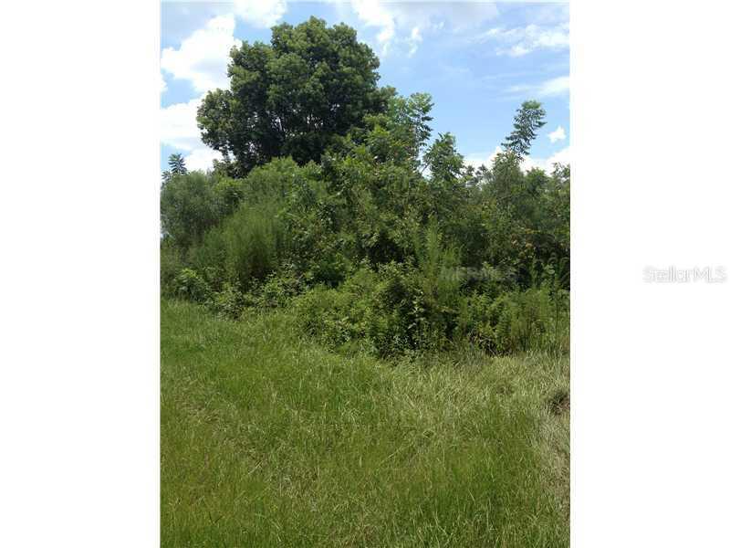 [Address Hidden by Seller], Mount Dora, FL 32757