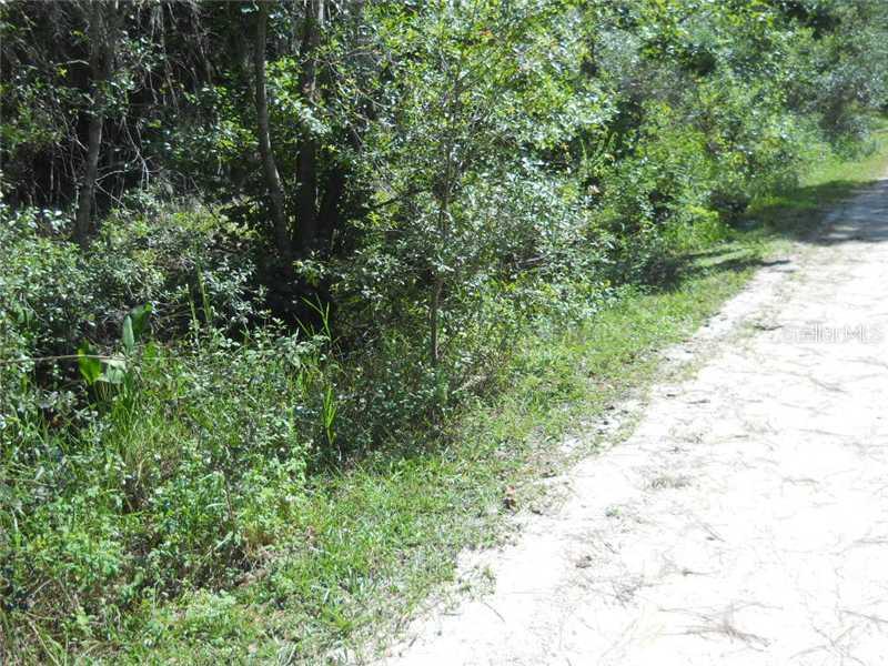 Lakeview Acres Rd, Saint Cloud, FL 34772