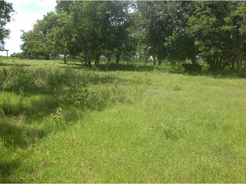 LOT 1 Ag Rd., Groveland, FL 34736