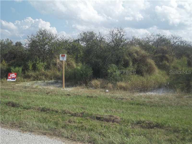 Tyson Rd, Saint Cloud, FL 34771