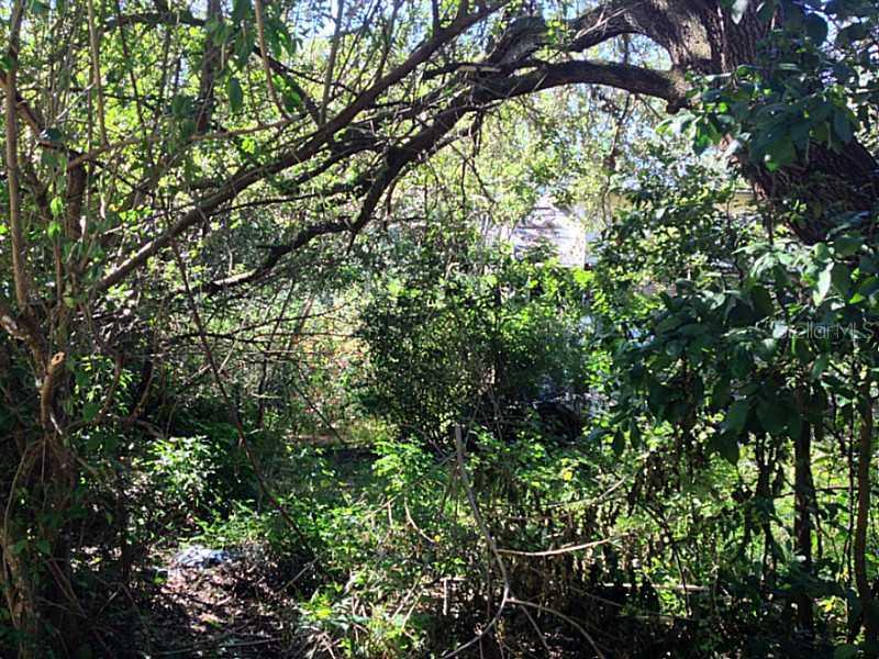 715 24th St., Winter Haven, FL 33880