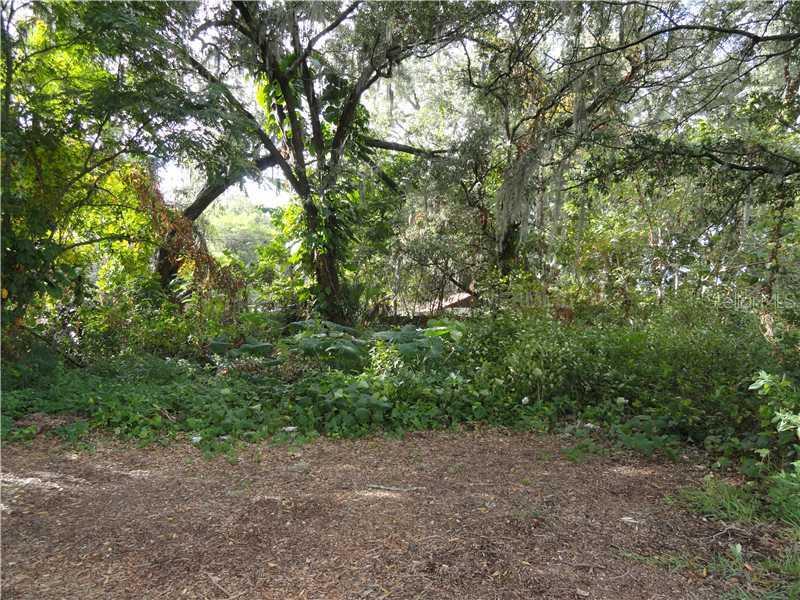 514 W Michigan St., Orlando, FL 32805