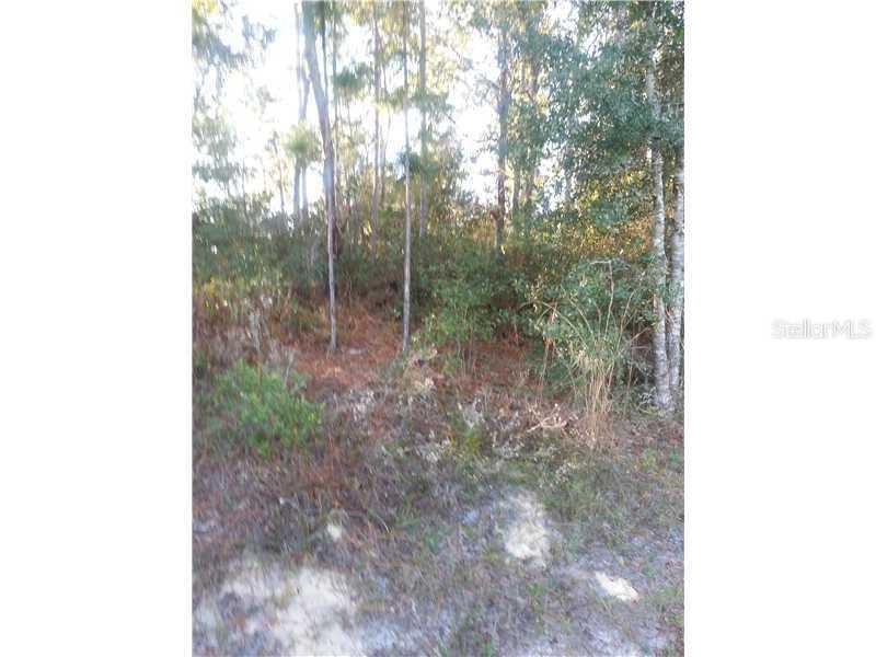 257 Fort Smith Blvd., Deltona, FL 32738