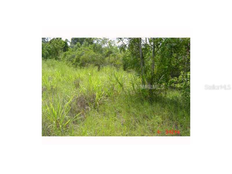 14405 Condor Rd., Weeki Wachee, FL 34614