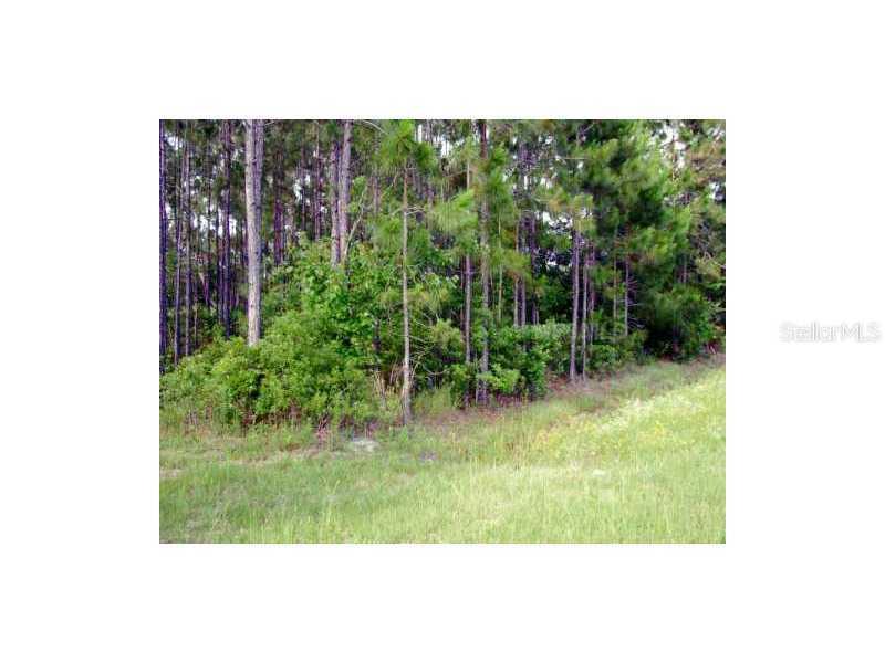 18613 Hewlett Rd., Orlando, FL 32820