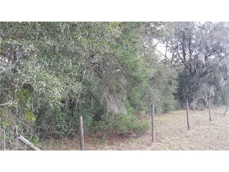 Harbeck Ln., Sorrento, FL 32776