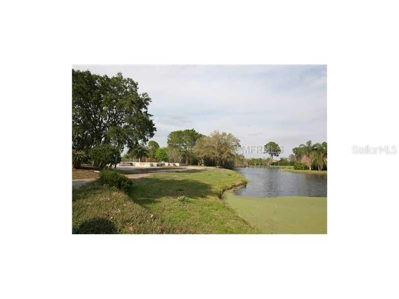 2940 Sunbittern Ct., Windermere, FL 34786