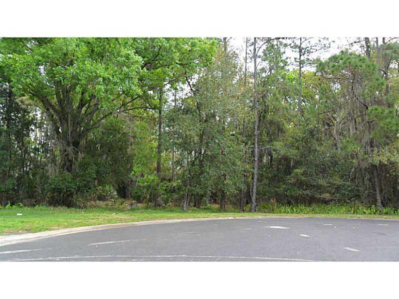 Percival Rd., Orlando, FL 32826