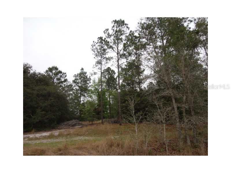 Lake Seneca Rd., Eustis, FL 32736