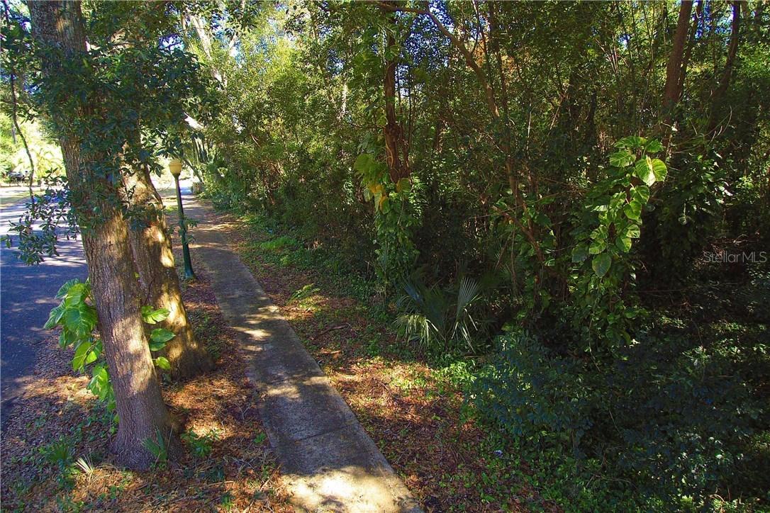 Eastland Rd, Mount Dora, FL 32757