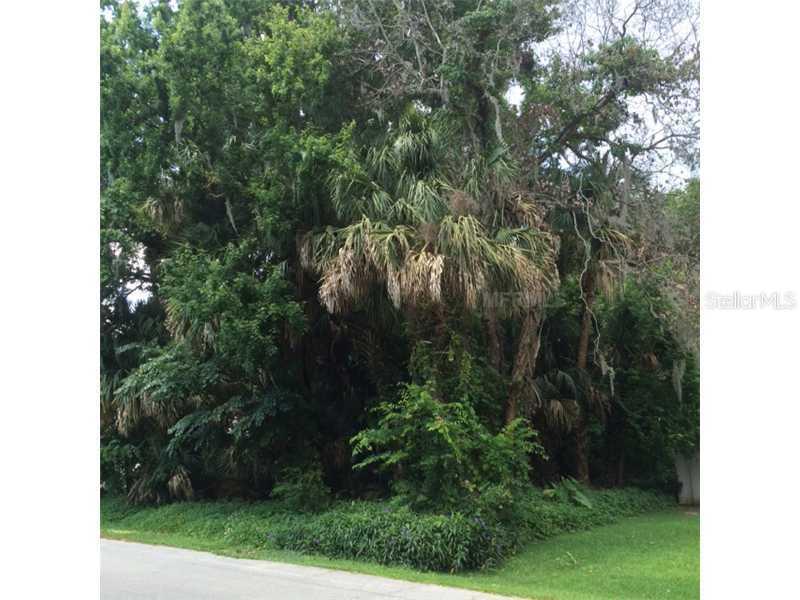Needle Palm Dr., Edgewater, FL 32141