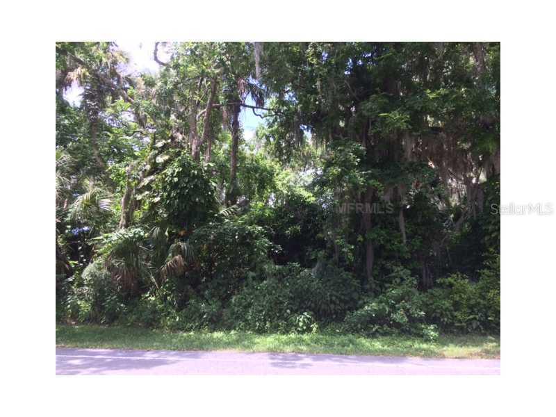 Needle Palm Dr., Edgewater, FL 32141